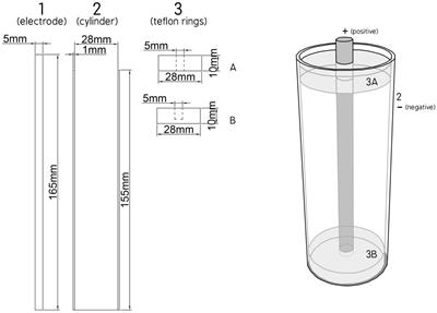 Pulsed Electric Field Extraction of α and β-Acids From Pellets of Humulus lupulus (Hop)